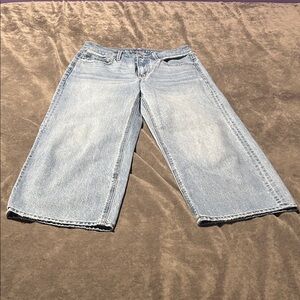 American Eagle Outfitters Light Blue Flare Jeans